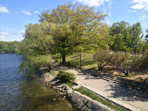 Jamaica Pond, Boston