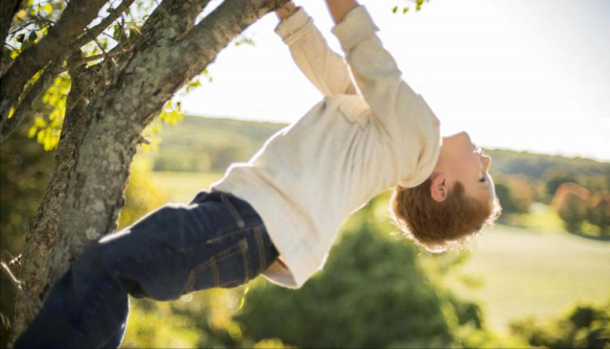 Cameron  climbing tree