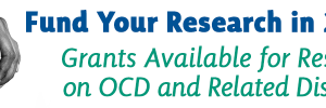 Fund your OCD Research in 2021