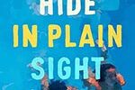 Book cover of How to Hide in Plain Sight by Emma Noyes