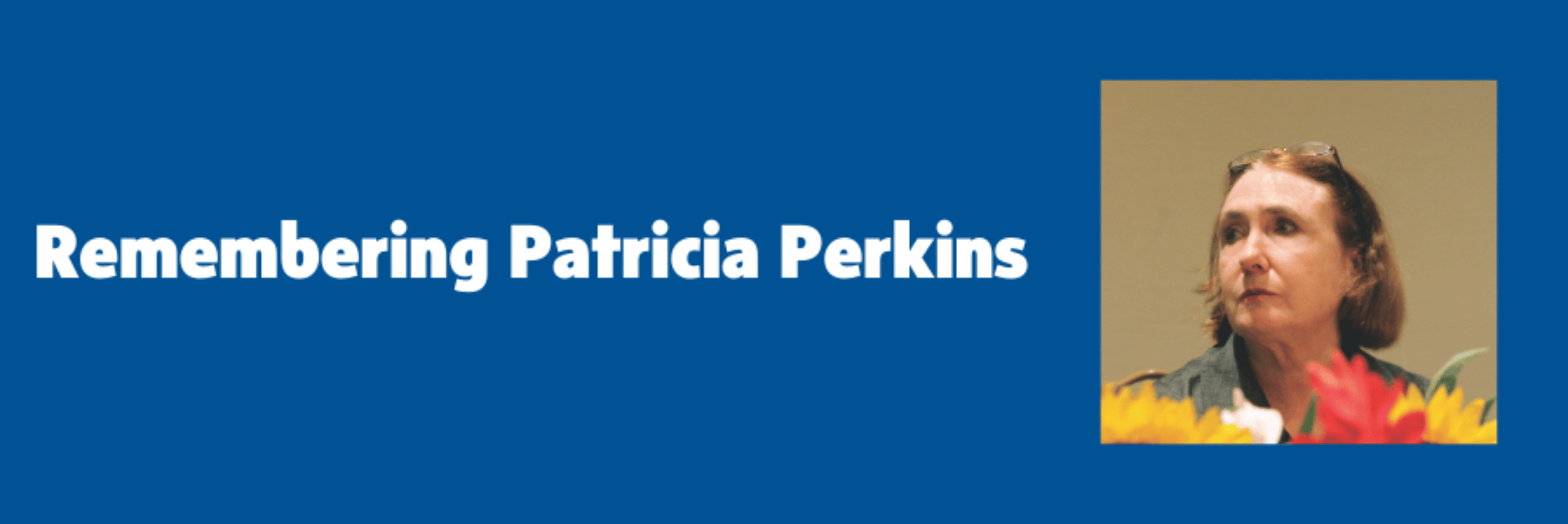 Patricia Perkins Hero Image (Landscape) (900 x 300 px)